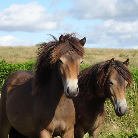 Exmoor Bnb In Withypool On Two Moors Way 외부 사진