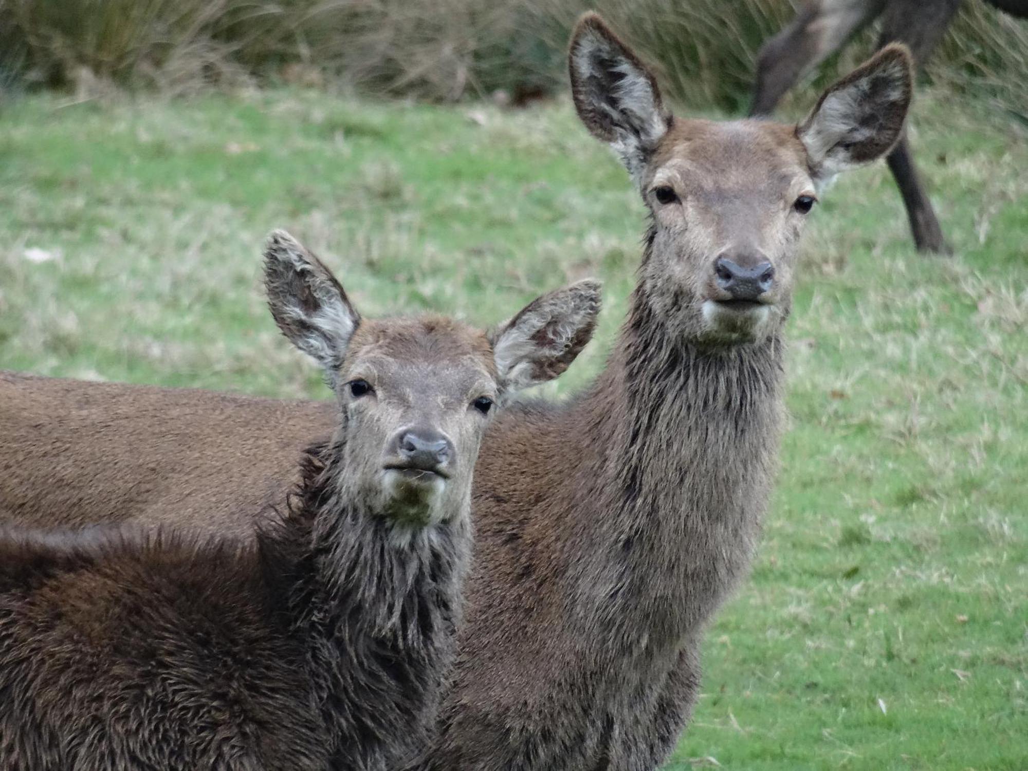 Exmoor Bnb In Withypool On Two Moors Way 외부 사진