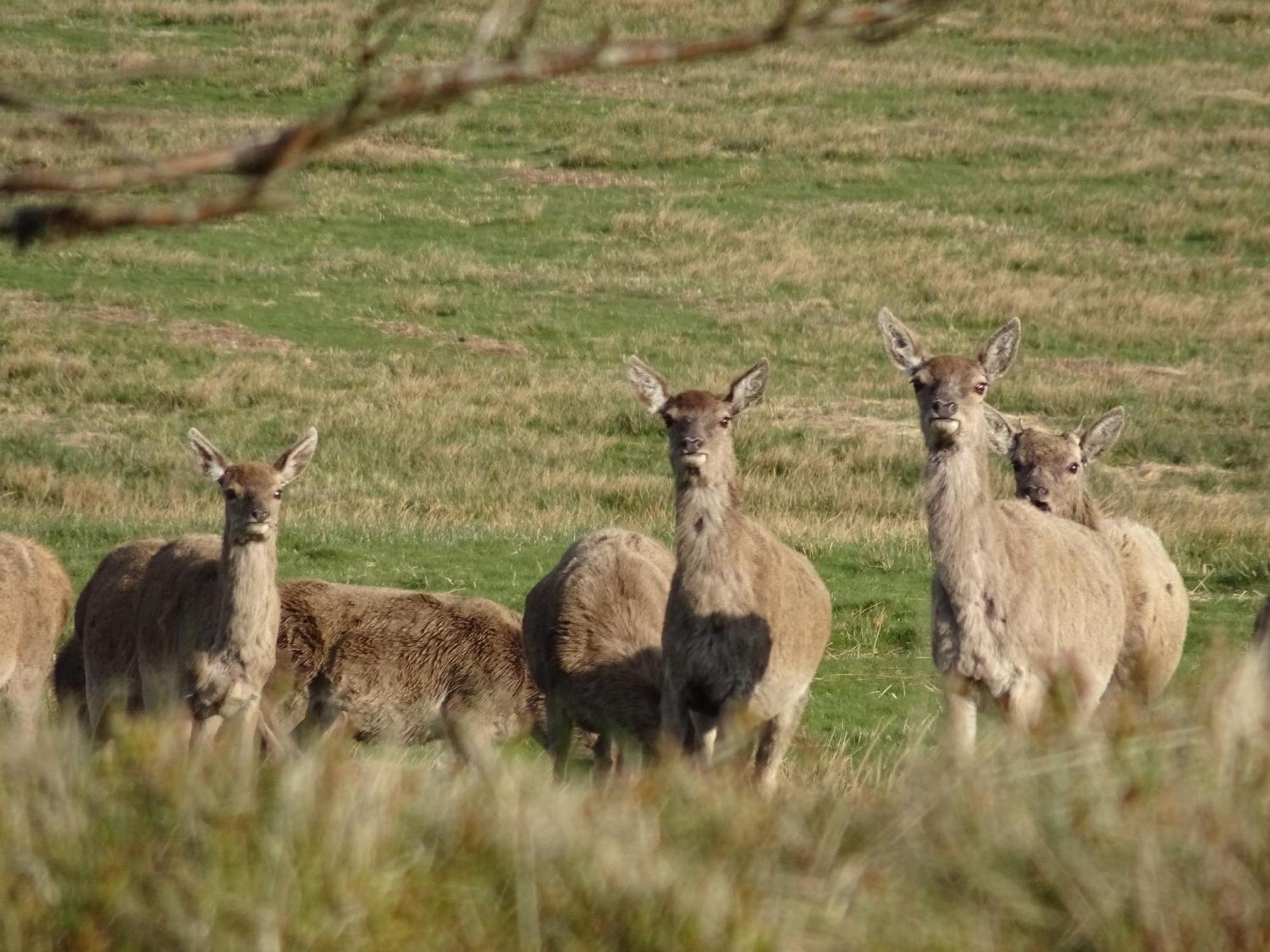 Exmoor Bnb In Withypool On Two Moors Way 외부 사진