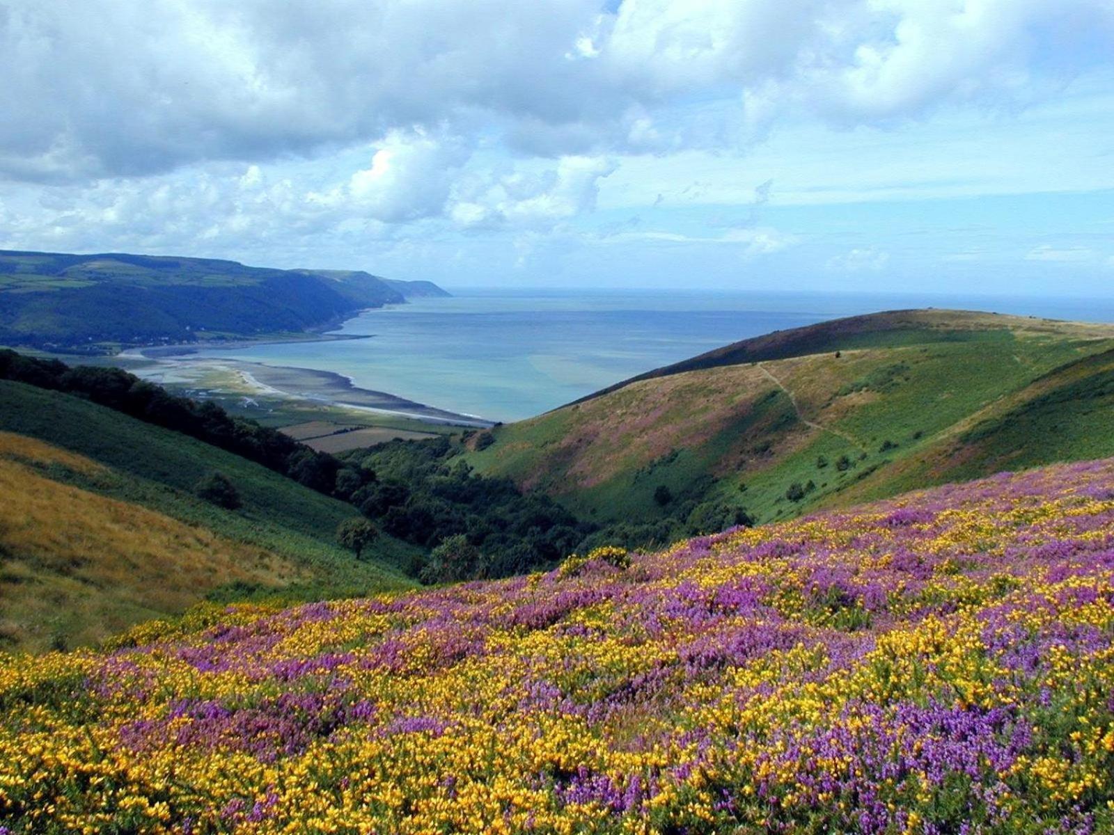 Exmoor Bnb In Withypool On Two Moors Way 외부 사진