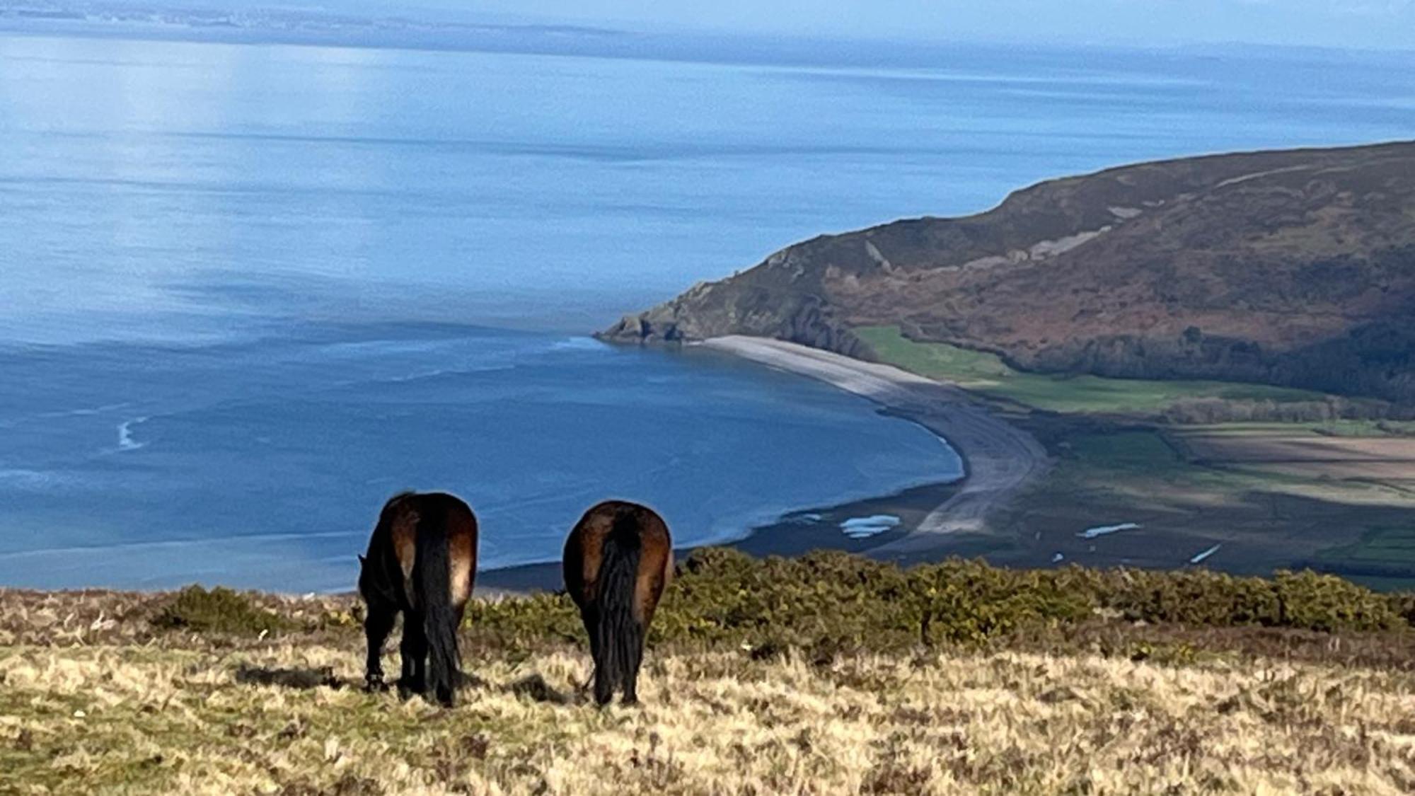 Exmoor Bnb In Withypool On Two Moors Way 외부 사진