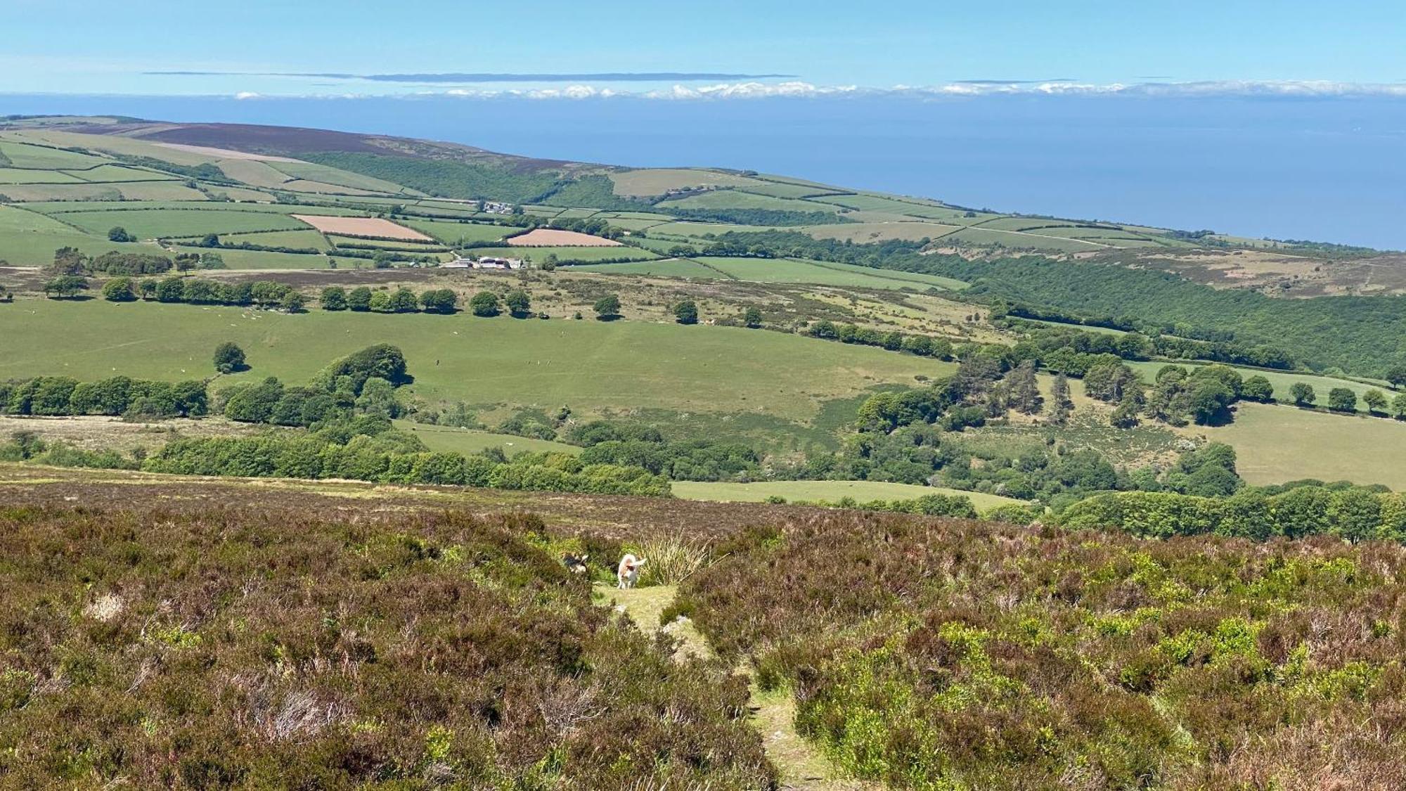 Exmoor Bnb In Withypool On Two Moors Way 외부 사진